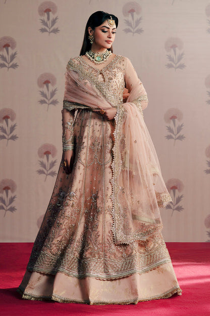 Zarposh | Maharani Wedding Collection | Dilara - Ladies Clothes 