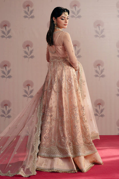 Zarposh | Maharani Wedding Collection | Dilara - Ladies Clothes 