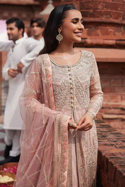 Mushq | Izhar Luxury Chiffon Collection 23 | Taneez