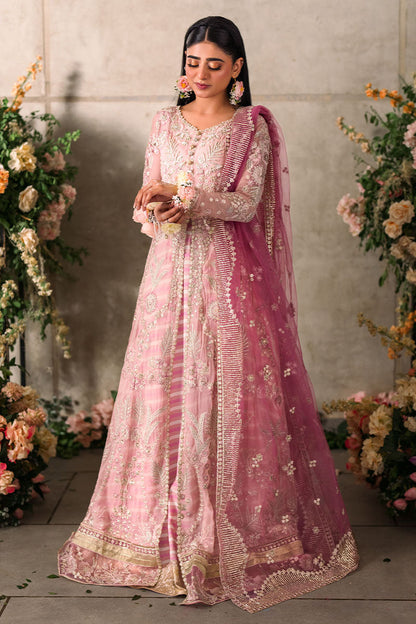 Mushq | Mastani Evening Luxury Chiffon | Maisha - Wedding Dress - Maria Faisal