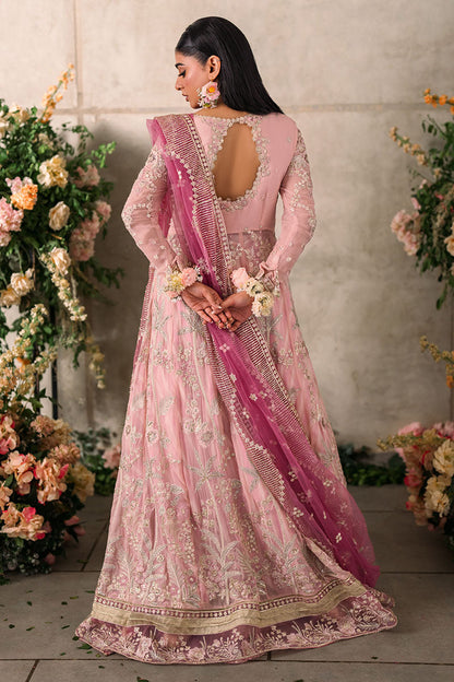 Mushq | Mastani Evening Luxury Chiffon | Maisha - Wedding Dress - Maria Faisal