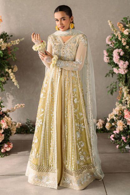 Mushq | Mastani Evening Luxury Chiffon | Hira - Wedding Dress - Maria Faisal