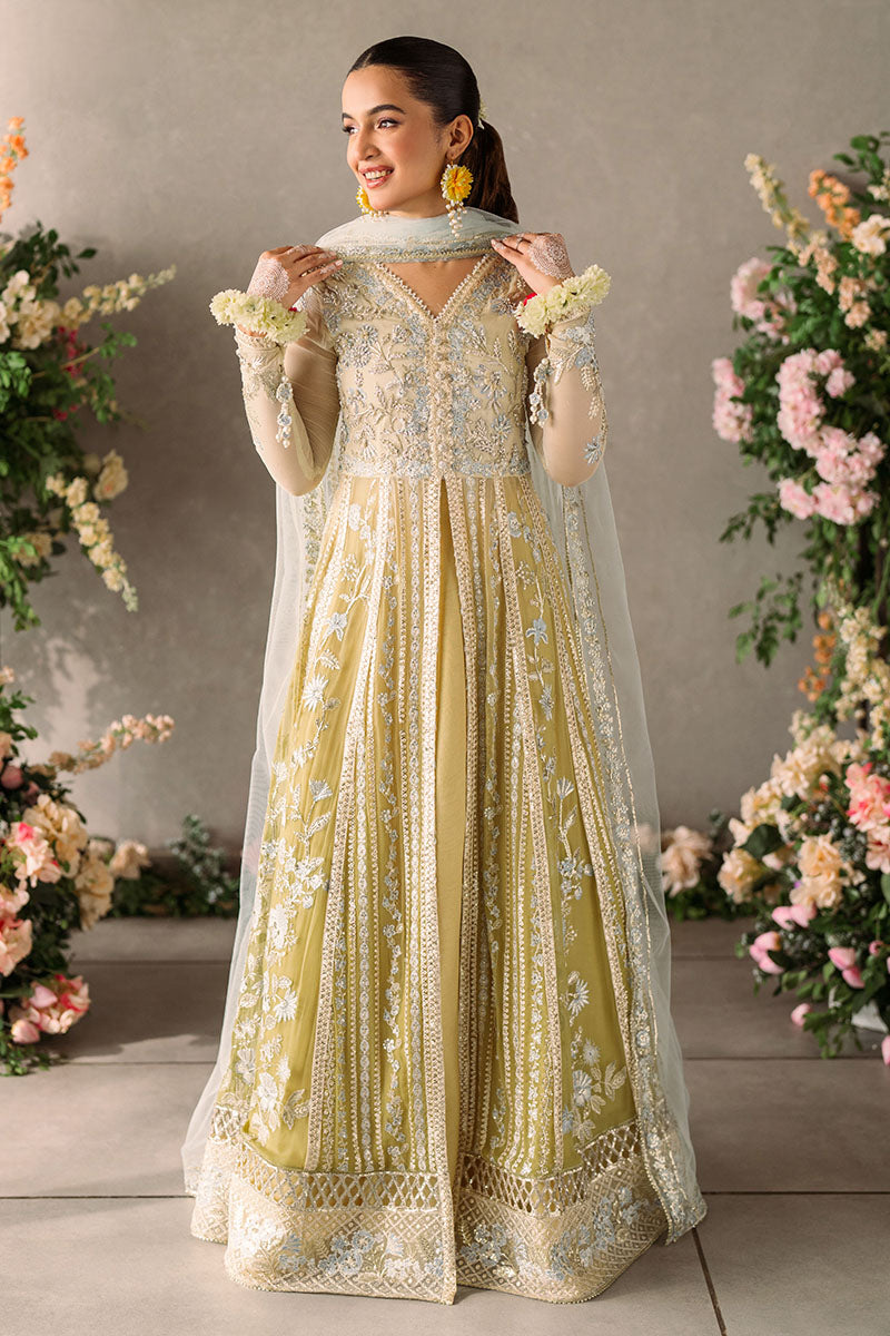 Mushq | Mastani Evening Luxury Chiffon | Hira - Wedding Dress - Maria Faisal