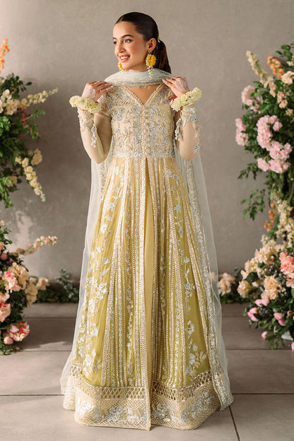 Mushq | Mastani Evening Luxury Chiffon | Hira - Wedding Dress - Maria Faisal