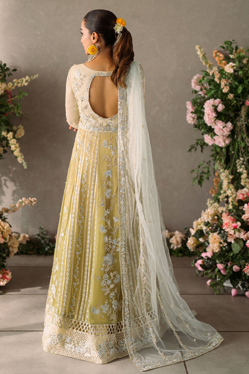 Mushq | Mastani Evening Luxury Chiffon | Hira - Wedding Dress - Maria Faisal