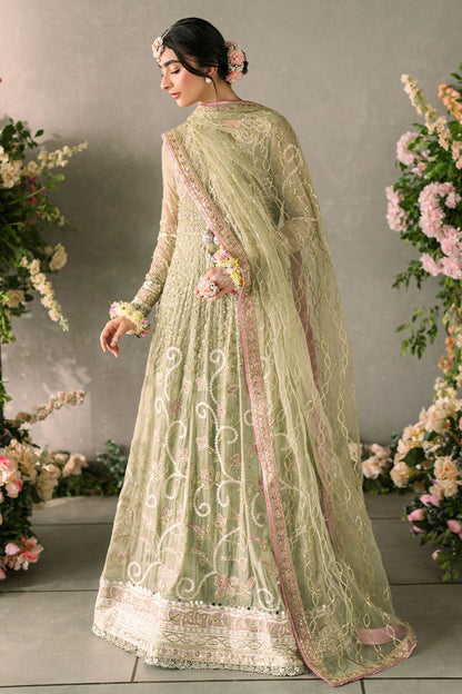 Mushq | Mastani Evening Luxury Chiffon | Namar - Wedding Dress - Maria Faisal