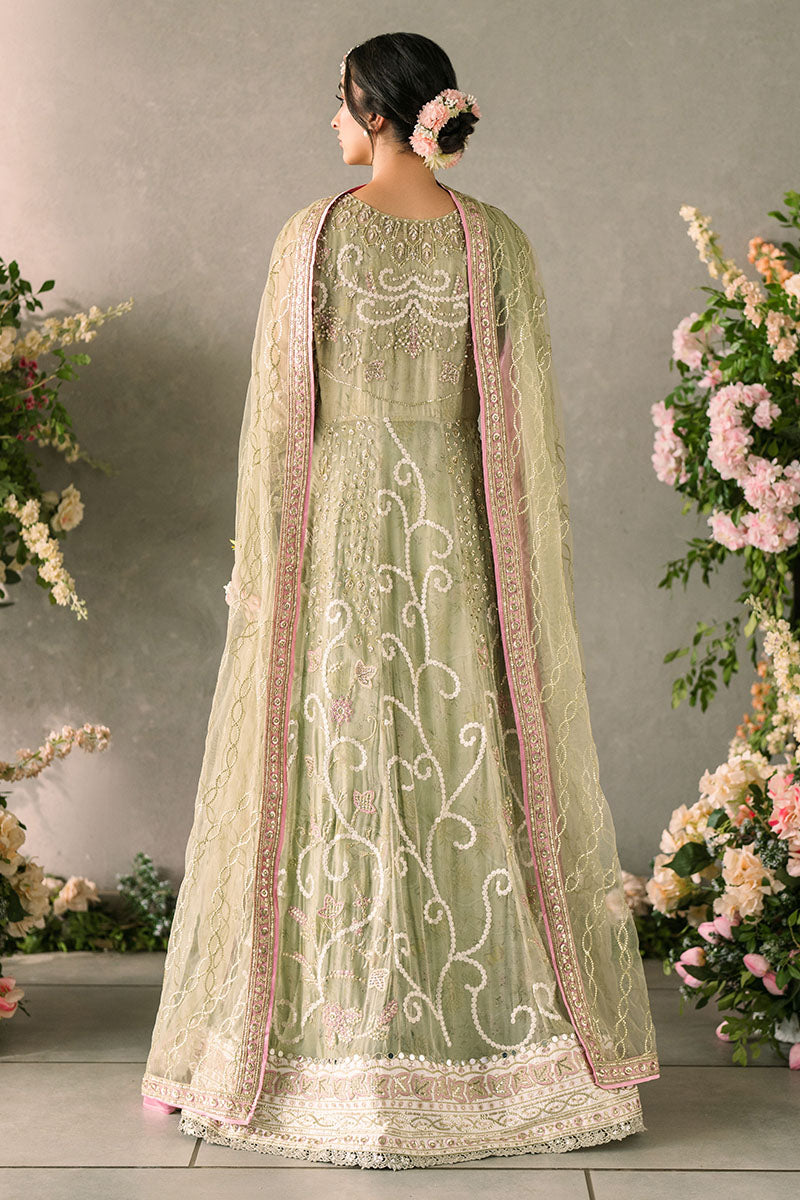 Mushq | Mastani Evening Luxury Chiffon | Namar - Wedding Dress - Maria Faisal
