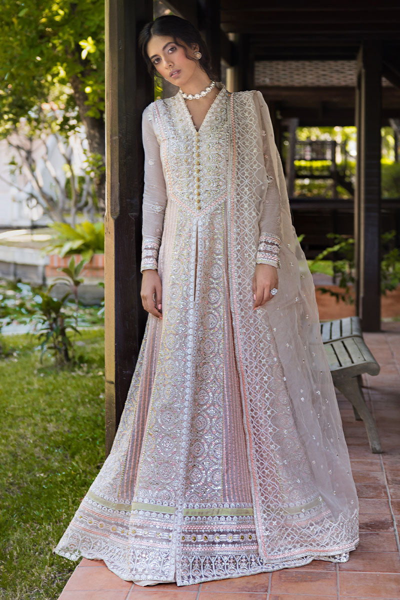 Mushq | Roohi Luxury Collection |Anika