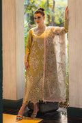 Mushq | Orient Express Luxury Lawn | DELICE - Waniyas