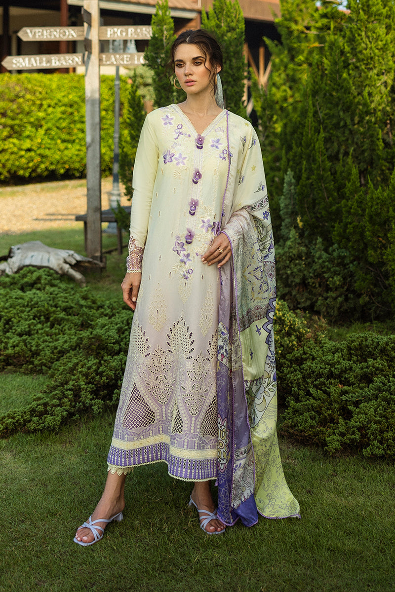 Mushq | Solace Ombre Chikankari | Gioia by Maria Faisal - Registered Vendor of : Mushq - type : Ladies Clothes - 100% original wedding dresses