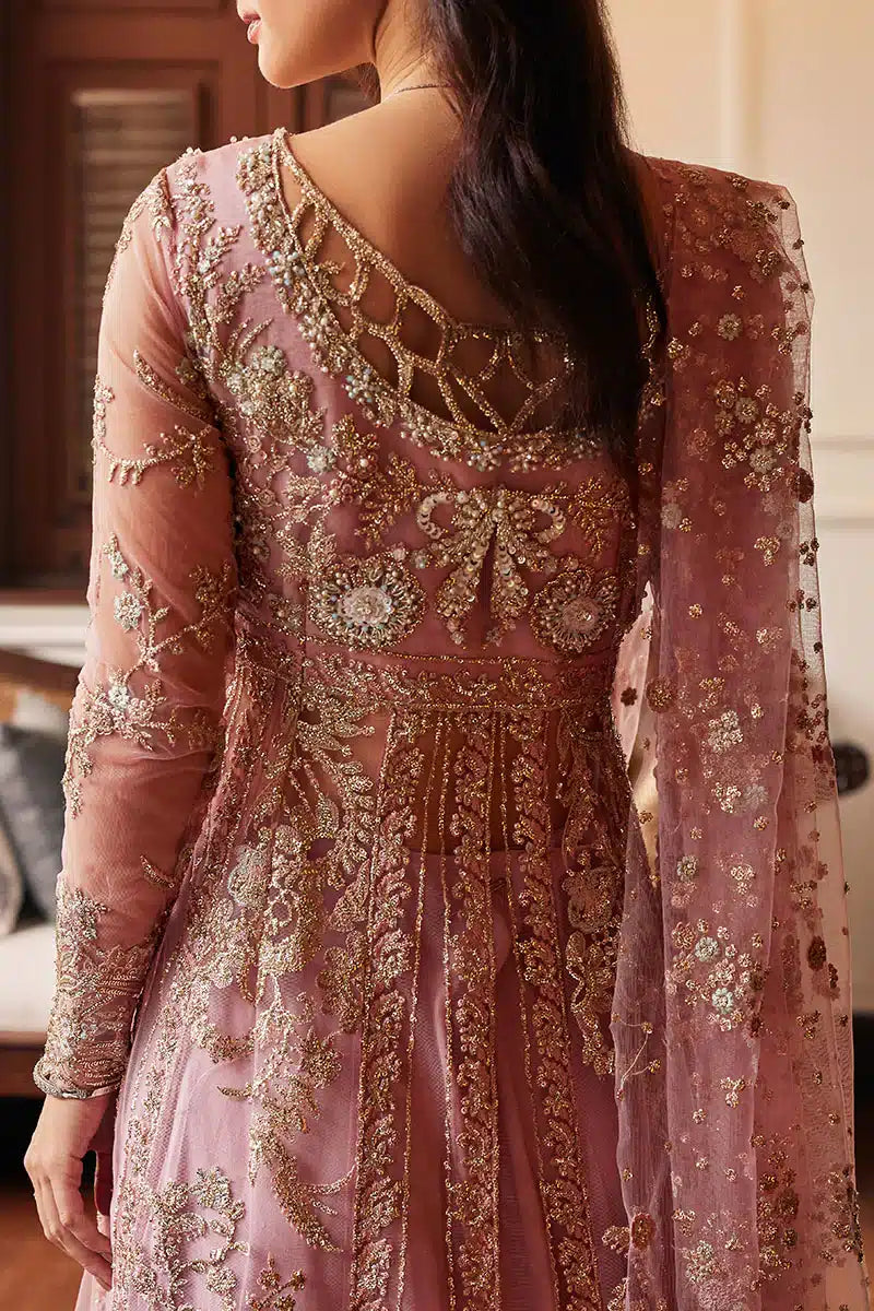 Mushq | Stardust Wedding Festive 23 | Luster