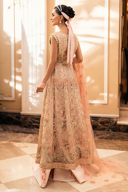 Mushq | Mann Mein Tu Wedding | ISHARAY - Ladies Clothes 