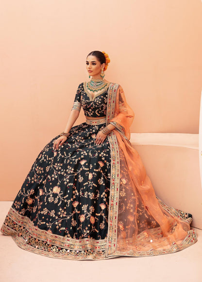 Waqas Shah | Madhubala | SHAH BANO - Maria Faisal