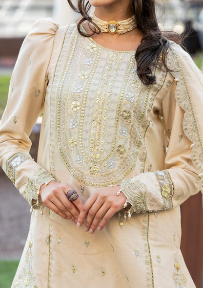 Meem | Luxury Eid Lawn 24 | MD-04 LIGHT SKIN - Ladies Clothes 