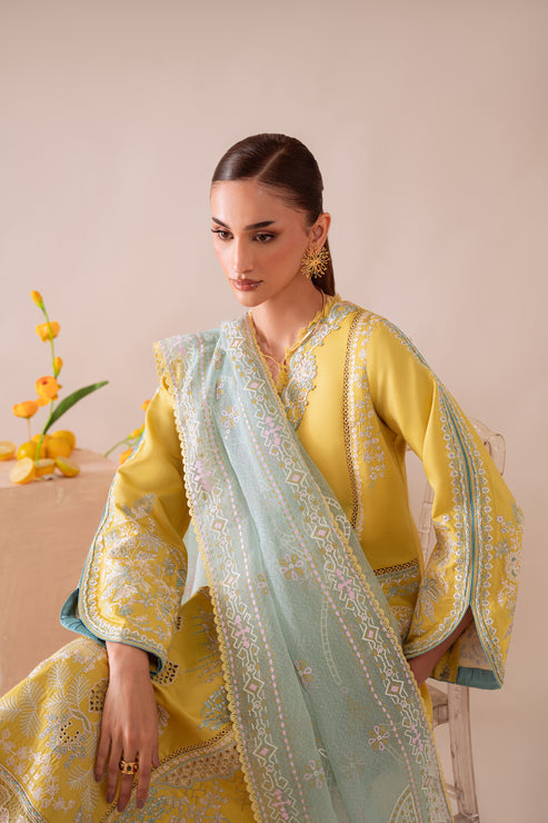 Aabyaan | Miraal Signature Embroidered Viscose 25 | MEHRA (AV-02) - Casual Dress - available at Maria Faisal in UK and USA.