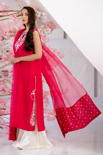 Mina Hasan | Signature Pret | Ayra - Luxury Dress - available at Maria Faisal in UK and USA.
