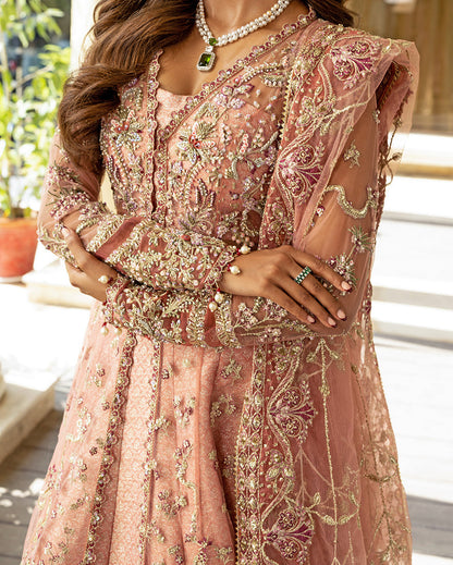 Naina – authentic Pakistani dress from the Darlings Formals collection for women in the UK