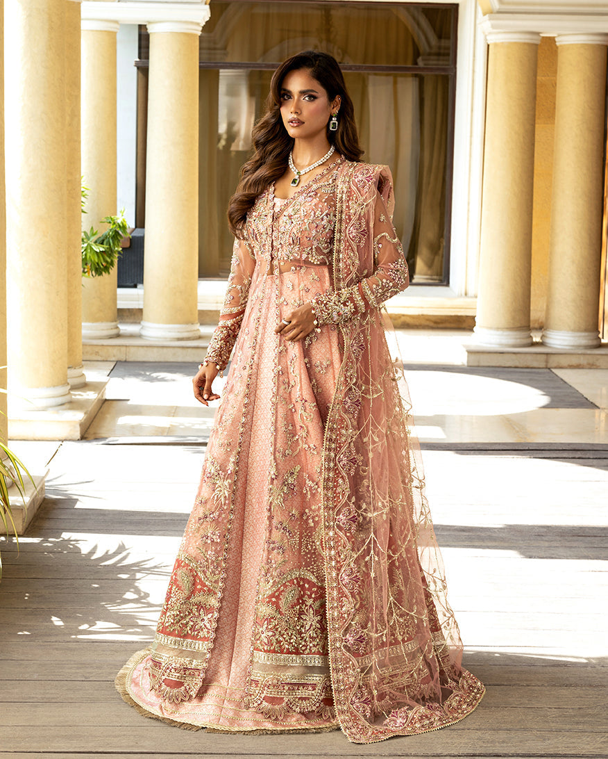 Naina – authentic Pakistani dress from the Darlings Formals collection for women in the UK