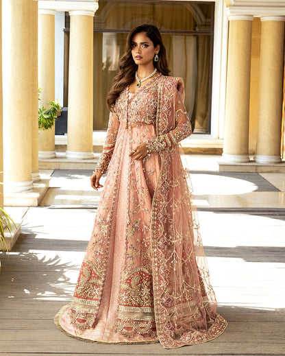 Naina – authentic Pakistani dress from the Darlings Formals collection for women in the UK