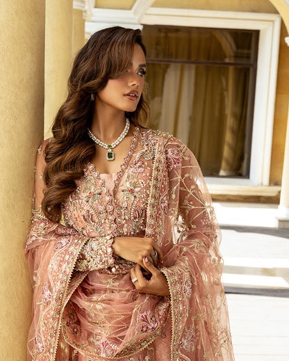 Naina – authentic Pakistani dress from the Darlings Formals collection for women in the UK