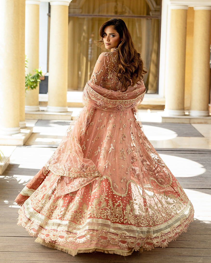 Naina – authentic Pakistani dress from the Darlings Formals collection for women in the UK