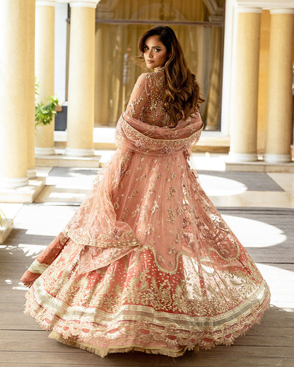 Naina – authentic Pakistani dress from the Darlings Formals collection for women in the UK