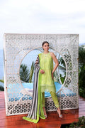 Noor by Saadia Asad | Luxe Printkari 24 | D8-B - Ladies Clothes - Maria Faisal