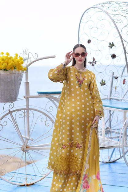 Noor by Saadia Asad | Luxe Printkari 24 | D6-B - Ladies Clothes - Maria Faisal