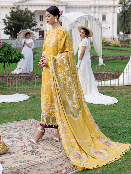 Parishay | Panache Winter | PN-11 - Designer Dress with Intricate embroidery and embellishments. Shop elegent wedding dress at Maria Faisal.