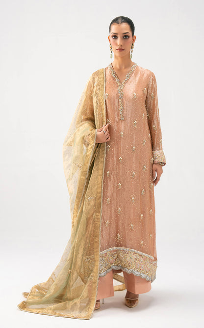 Asifa and Nabeel | Lyle Luxury Formals 25 | Peach Aura - Ladies Clothes - Maria Faisal