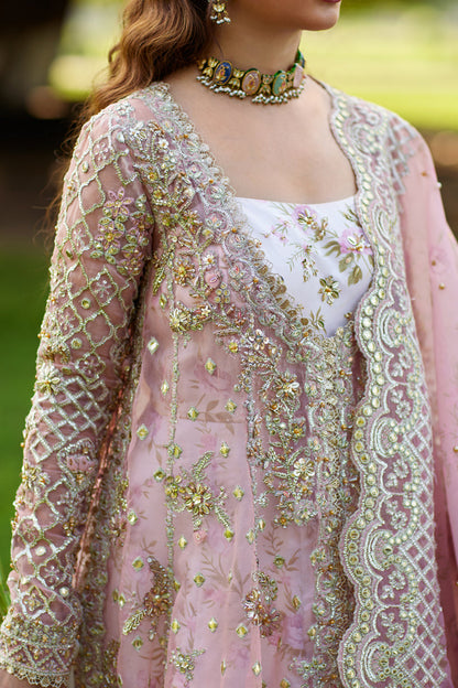 Qalamkar | Shadmani Luxury Formals |  Saira SH-08 - Ladies Clothes - Maria Faisal