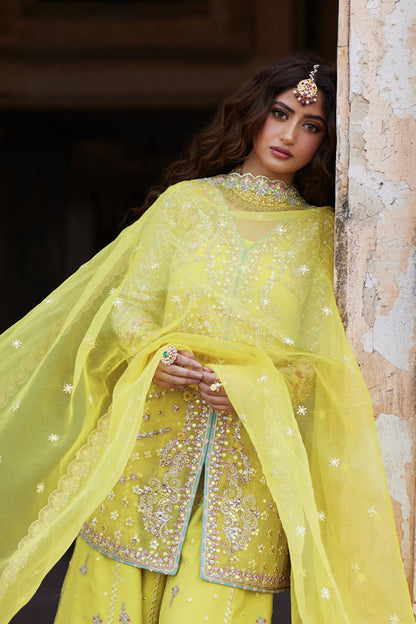 Qalamkar | Shadmani Luxury Formals |  Dania SH-05 - Ladies Clothes - Maria Faisal