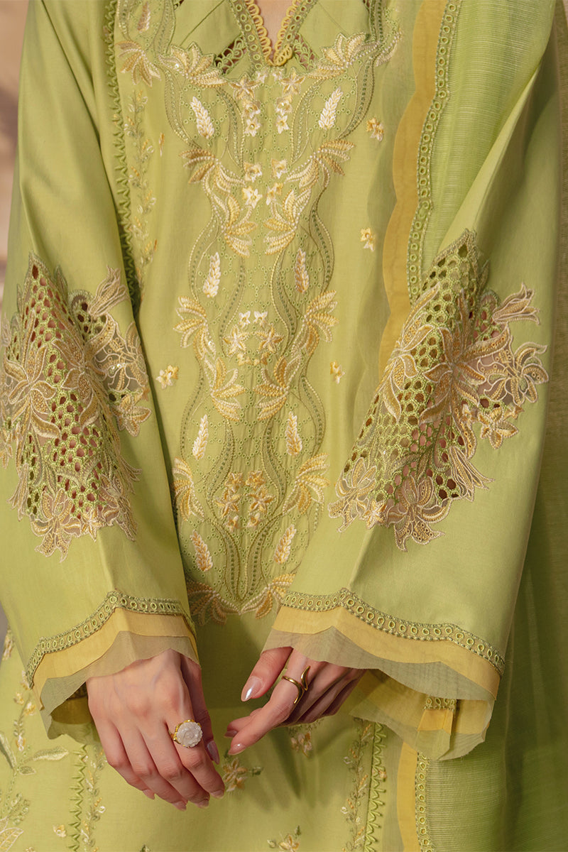 Rangrasiya | Luxury Eid Collection | Nadine - Luxury Dress - available at Maria Faisal in UK and USA.