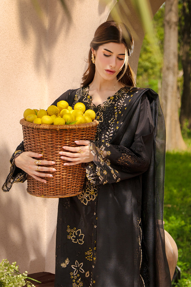 Rangrasiya | Luxury Eid Collection | Layl - Luxury Dress - available at Maria Faisal in UK and USA.