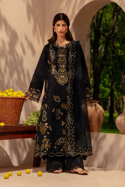 Rangrasiya | Luxury Eid Collection | Layl - Luxury Dress - available at Maria Faisal in UK and USA.