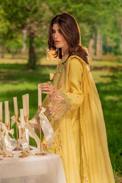 Rangrasiya | Luxury Eid Collection | Mysha - Luxury Dress - available at Maria Faisal in UK and USA.