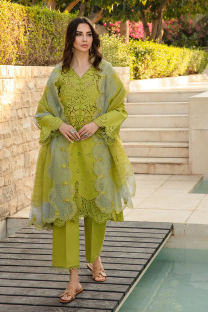 Rangrasiya | Carnation Summer 24 | FAREESIA - Waniyas