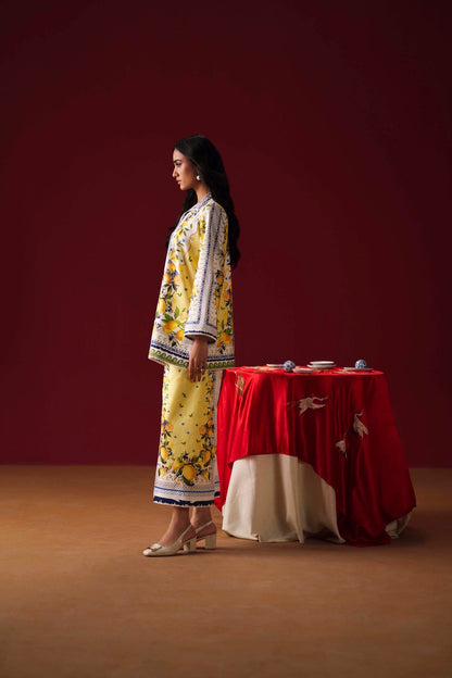 Sable Vogue | Co ords Sets | SCS-02-25 - Luxury Dress - available at Maria Faisal in UK and USA.