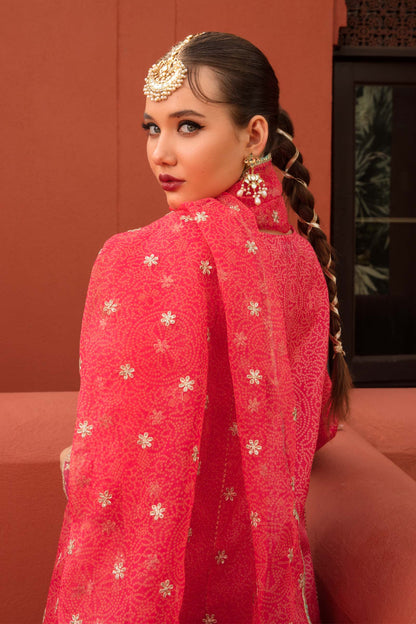 Maira B | Ready to Wear | SF-EF23-04 by Maria Faisal - Registered Vendor of : Maria B - type : Wedding Dress - 100% original wedding dresses