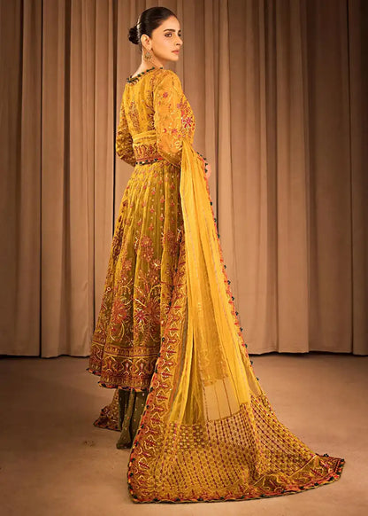 HSY | Rehana Collection 2023 | Ronak