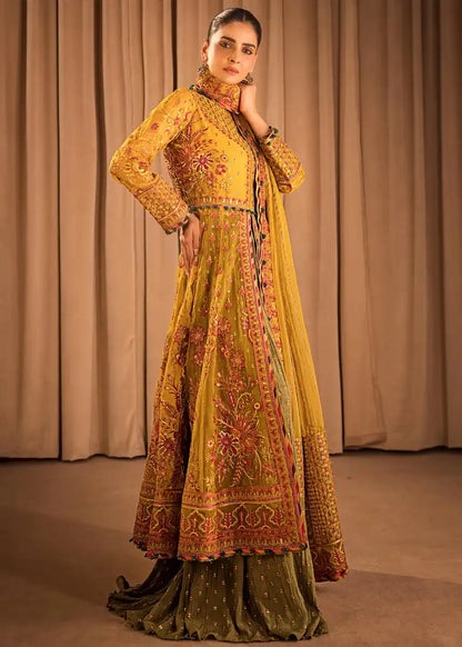 HSY | Rehana Collection 2023 | Ronak