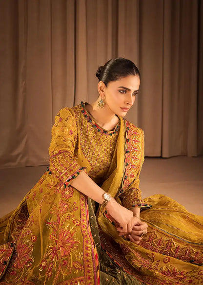 HSY | Rehana Collection 2023 | Ronak