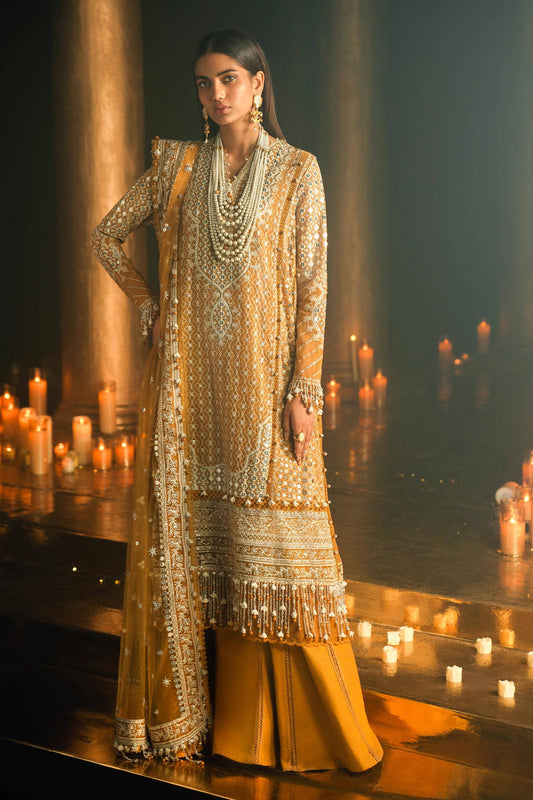 Sana Safinaz | Luxury Collection 24 | L241-002B-3CT - Ladies Clothes - Maria Faisal