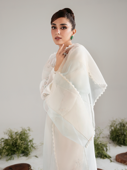 Ain | Luxe Edit | Serene - Luxury Dress - available at Maria Faisal in UK and USA.