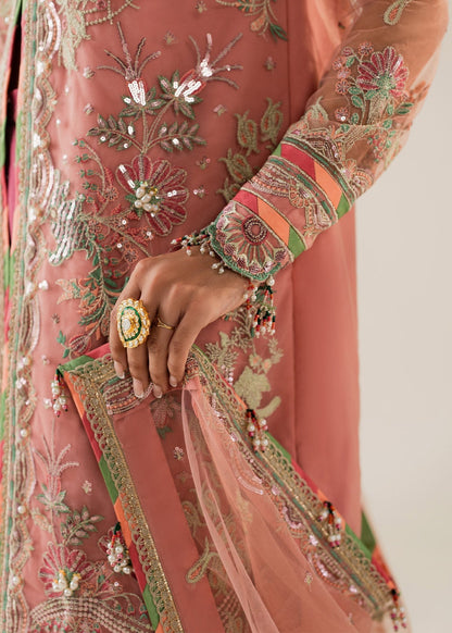 Shurooq | Zara Edit 24 |  Amtul - Ladies Clothes - Maria Faisal