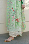 Soraya | Noa Summer Pret'25 | Willow - Ladies Clothes - Maria Faisal