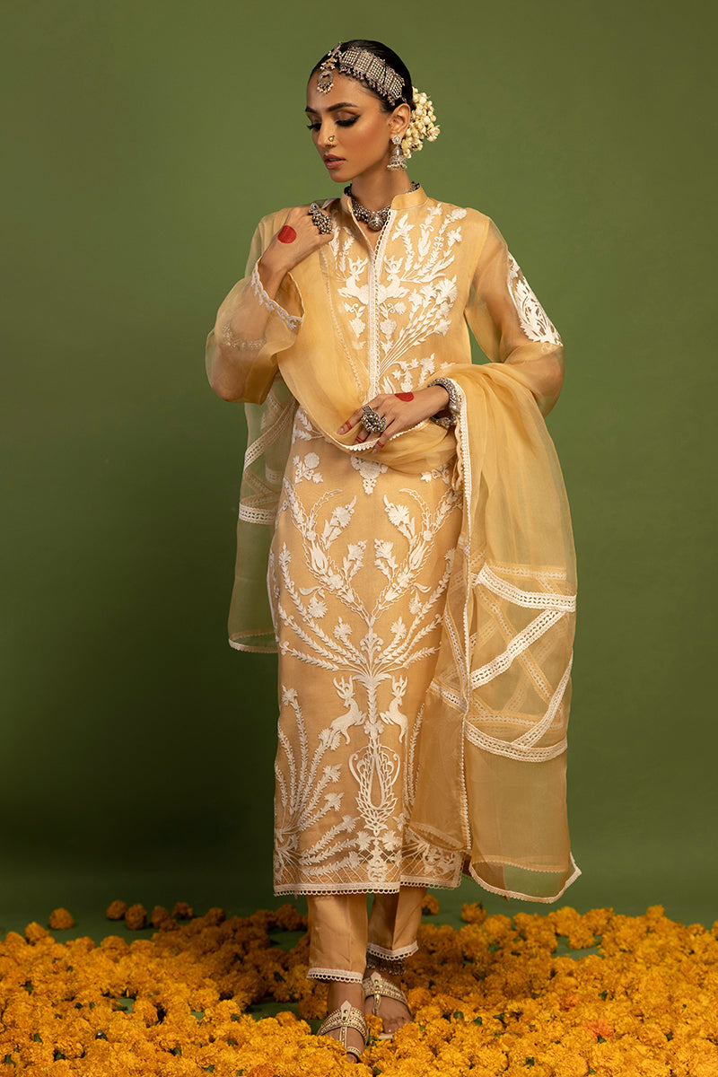 Wardha Saleem | Luxury Pret Traditional Wear | SHIKAR GAH - AARI WORK (2 PC) - Ladies Clothes 