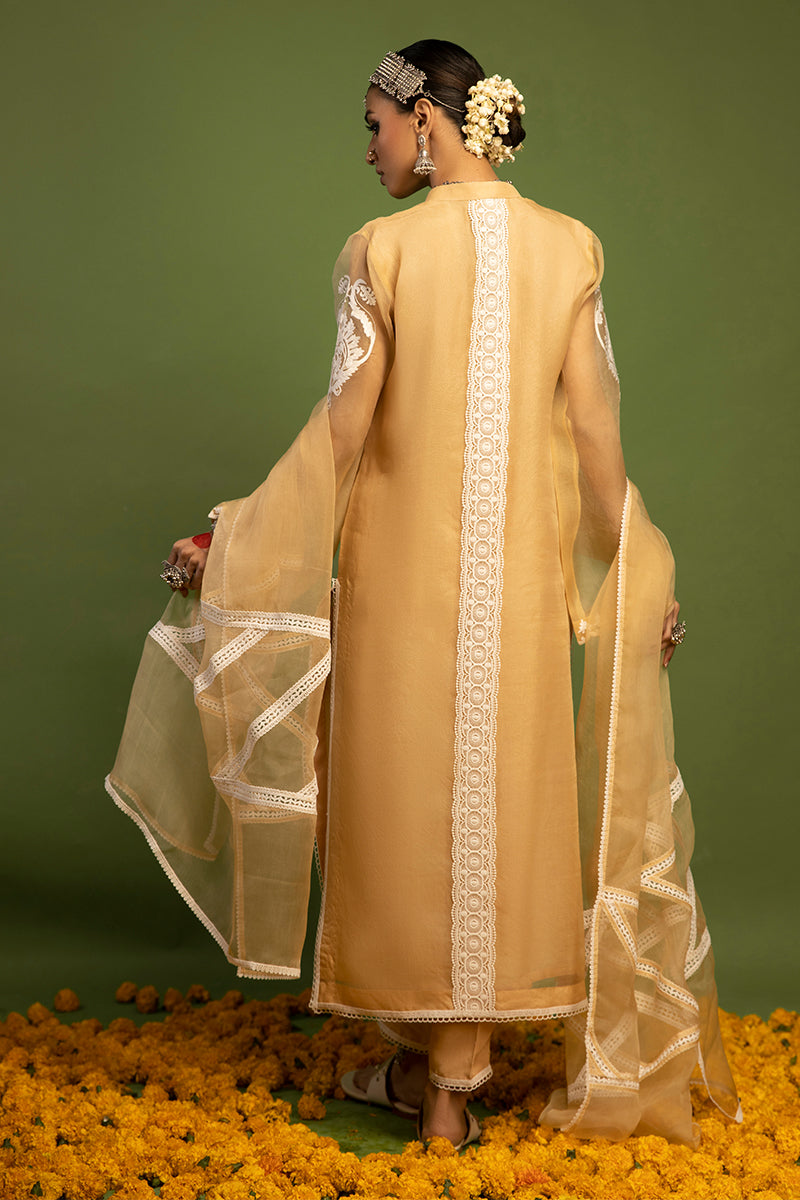 Wardha Saleem | Luxury Pret Traditional Wear | SHIKAR GAH - AARI WORK (2 PC) - Ladies Clothes 