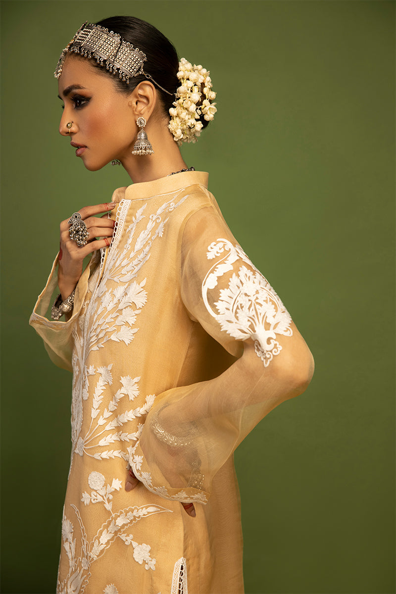 Wardha Saleem | Luxury Pret Traditional Wear | SHIKAR GAH - AARI WORK (2 PC) - Ladies Clothes 