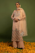 Wardha Saleem | Luxury Pret Traditional Wear | MISMAAR - HEAVY FORMAL (2 PC) - Ladies Clothes 